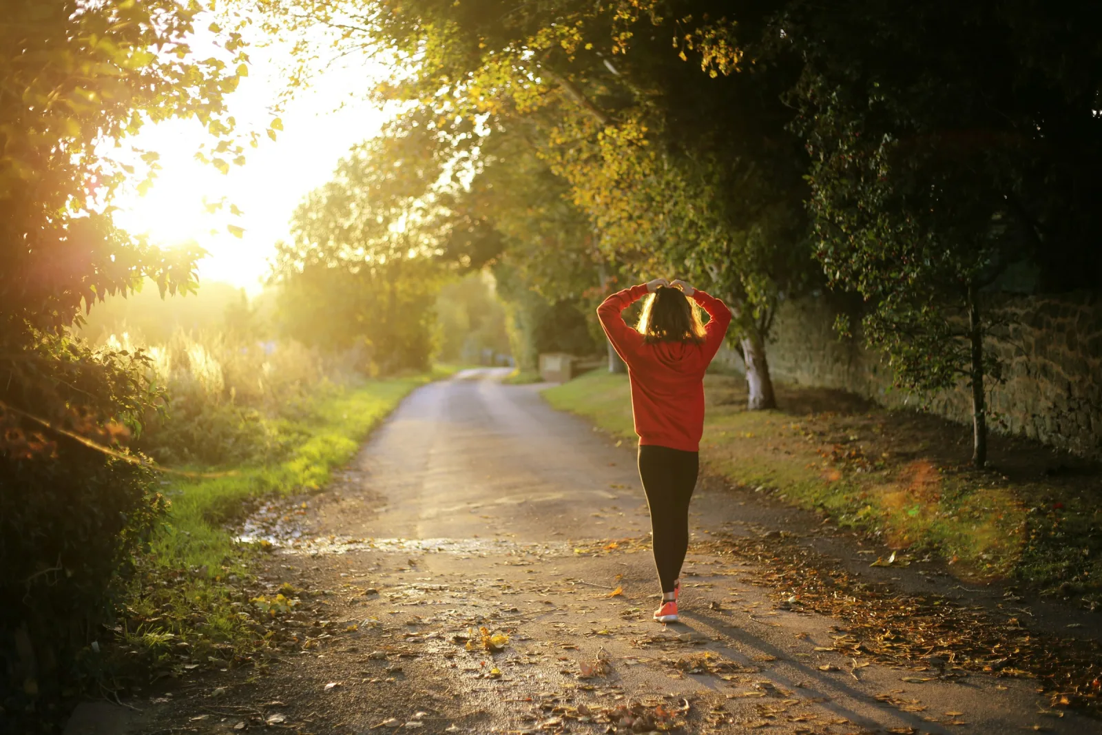 A woman in a red top walking along a tree-lined country path in warm sunlight, seen from behind